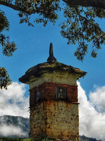 cycling chelela pass in bhutan